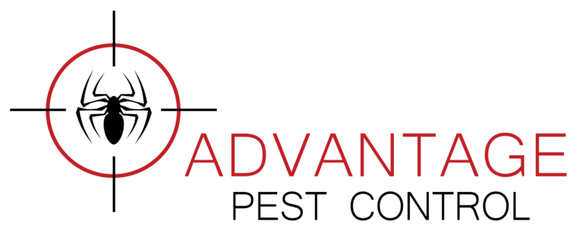 advantage-logo_845x-1.png